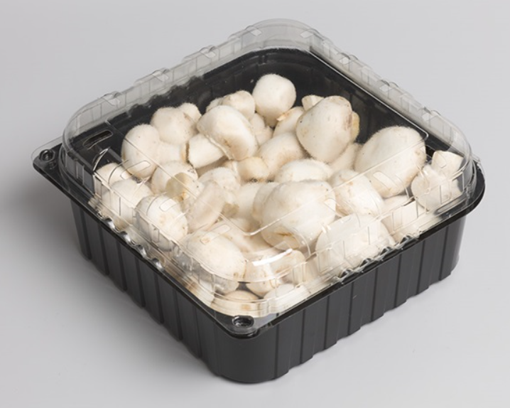 Mushrooms - Duo Color PET Clamshell NNZ